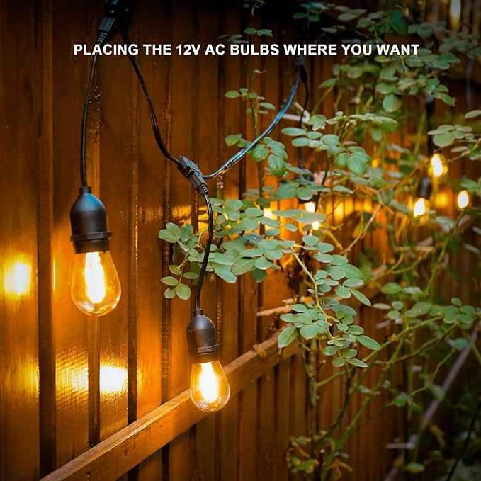 GOODSMANN LED Low Voltage String Lights 12V AC 50FT 10PCS 2W Bulbs 135 Lumens Hanging Landscape Lighting 2800K String Weatherproof Decorative Light for Patio Light