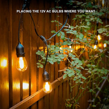 GOODSMANN LED Low Voltage String Lights 12V AC 50FT 10PCS 2W Bulbs 135 Lumens Hanging Landscape Lighting 2800K String Weatherproof Decorative Light for Patio Light