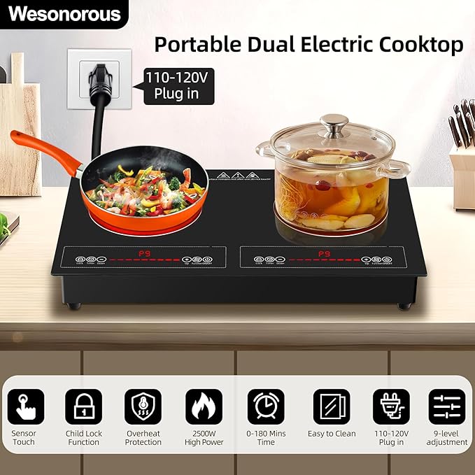 2 Burner Electric Cooktop,110V 2500W Electric Stove Top with Touch Control,9 Heating Level,Timer & Kid Safety 2 burner cooktop.