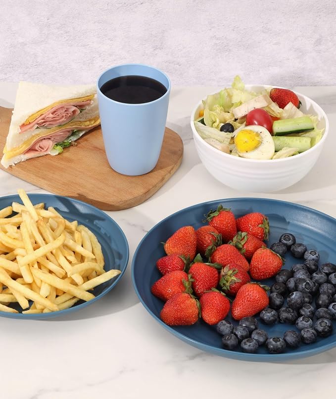 Quatish 24 Piece Plates and Bowls Sets for 6, Unbreakable Dinnerware Sets, Dish Set for Camping, Dishwasher Microwave Safe, Outdoor Kitchen and Apartment Dorm Dinning RV Essentials, Blue