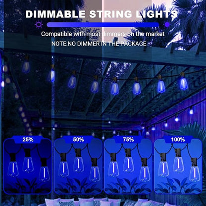 LAMPHOME 26Ft ST38 Outdoor String Lights, Blue Patio Lights with 12+1 ST38 Edison Bulbs, LED Shatterproof String Lights for Outside Bistro Christmas Patio Party Decorations