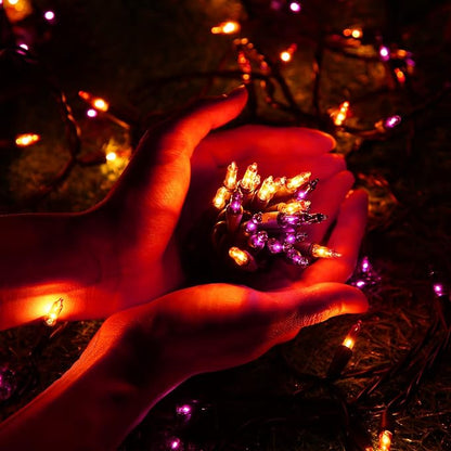 Orange & Purple Halloween Lights, 12.5ft 50 Count Incandescent String Light | UL Certified Connectable Mini Bulbs String Lights for Outdoor, Indoor, Garden, Porch, Party, Home, Halloween Decor
