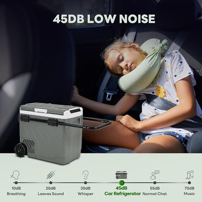Alpicool 12V Car Refrigerator Portable Fridge Freezer, 62 QT Dual Zone Compressor Cooler with APP Control, Fast Cooling, Electric Cooler for Car Truck, RV, Camping, Travel (12/24V DC & 100-240V AC)