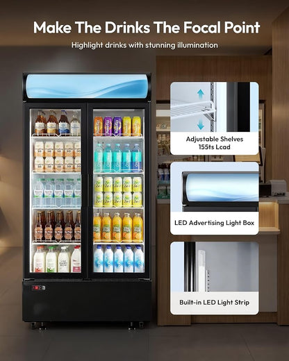 21 Cu.Ft Commercial Display Refrigerator with Double Glass Doors | LED Lightbox, 8 Adjustable Shelves, 32-50°F Digital Control, R290 Air Cooling, ETL Certified, Retail Store Use