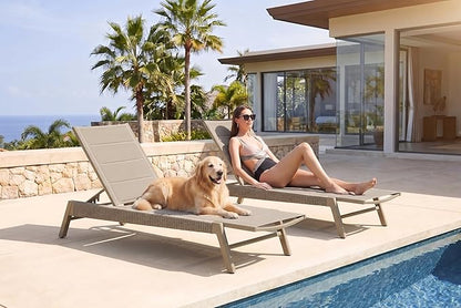 PURPLE LEAF Outdoor Chaise Lounge 2 Pieces Chair Patio Aluminum Recliner for Poolside with Adjustable Backrest Chairs Nurture Shale