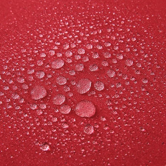 Outdoor Throw Pillows with Inserts, Waterproof Pillows for Outdoor Seating, Square Decorative Garden Cushion for Patio Furniture, Bed, Couch, Sofa (Red, 12" x 20" (Pack of 2))