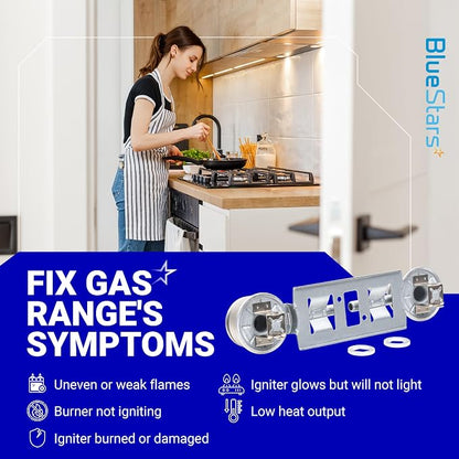 BlueStars WB16K10026 WB29K17 Double Burner Assembly Replacement - Compatible with G.E Kenmore Hot.point Ranges - Replaces 868697 AP2633210 WB16K10003 65932 PS232404 - PACK OF 2