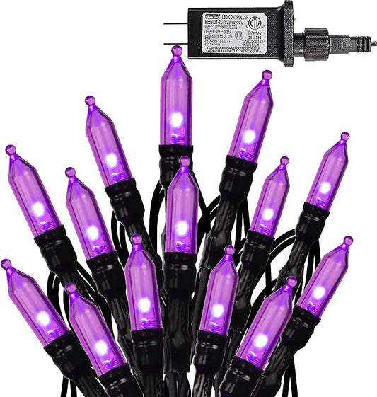 Dazzle Bright 200 LED Halloween Mini String Lights, 65FT Light Up 8 Modes Halloween Decorations Fairy Lights for Indoor Outdoor Room Garden Holiday Party (Purple)