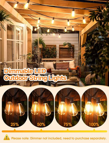 Larkvue 25FT LED Outdoor Patio String Lights, 10+1 S11 2700K Bulbs, Brown | Plug-in, Waterproof, Shatterproof, Linkable, Energy Efficient, Warm White, Dimmable, Dimmer not Included, for Backyard Deck