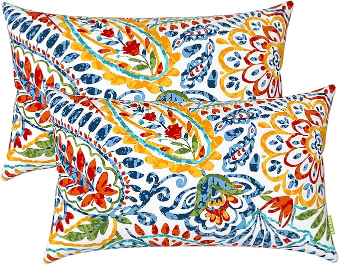 LVTXIII Outdoor Lumbar Pillow Covers, Patio Decorative Lumbar Pillow Cases ONLY, Fluffy Fade-Resistant Lumbar Cushion Cases for Home Balcony and Garden, 12x20 Inch, Pack of 2, Paisley Multi