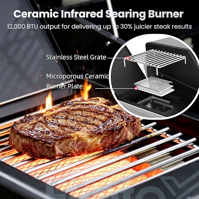 Flintex 4-Burner Propane Gas Grill with Infrared Searing Side Burner and Porcelain-Enameled Cast Iron Grates & Pan, Outdoor BBQ Grill with 46,500 BTU Output, 490 sp.in. Cooking Area, Black