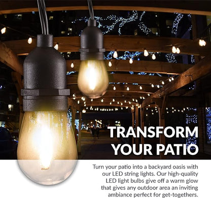 Newhouse Lighting LED String Lights with Weatherproof Technology, Dimmable with Wireless Remote Control, 48ft and 16 (15+1 Free) LED Light Bulbs Included, Black (CSTRINGLEDDIM)