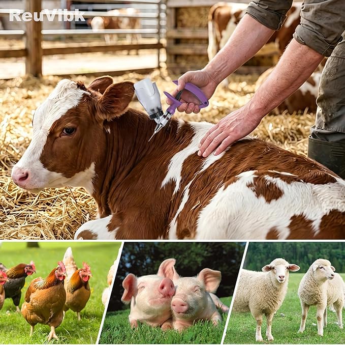 5ML Livestock Syringes, Automatic Self Refill Syringe Continuous Repeating Adjustable Bottle Attachment Livestock Animal Injection Gun with 10 Needles, for Chicken, Duck, Pig, Sheep, Cow Poultry