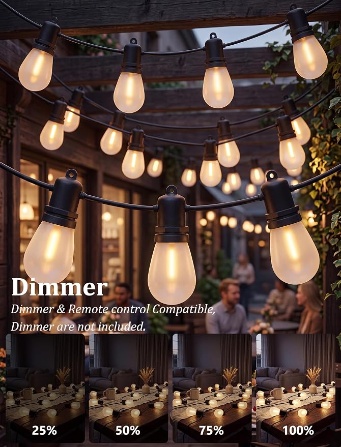 S14 Outdoor String Lights 30FT, 11 Frosted LED Bulbs, Black Wire | Connectable Commercial Grade Patio Lights, UL Listed, IP65 Waterproof, 2700K Shatterproof Bulbs, for Backyard, Porch, Bistro