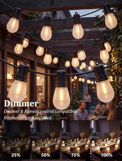 S14 Outdoor String Lights 30FT, 11 Frosted LED Bulbs, Black Wire | Connectable Commercial Grade Patio Lights, UL Listed, IP65 Waterproof, 2700K Shatterproof Bulbs, for Backyard, Porch, Bistro