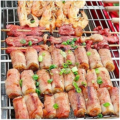 Barbecue Charcoal Grill Grill Outdoor Barbecue Grill Stainless Steel Charcoal Picnic Barbecue Camping Backyard Charcoal BBQ Grill