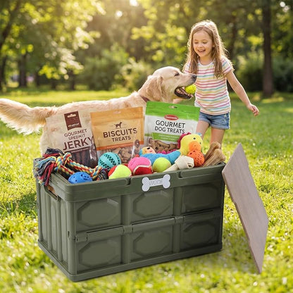 Morezi Outdoor Dog Toy bin chew Proof Box Storage in Plastic Foldable Designed Dog Stuff Organizer Great for pet Food organizing Toys leashes Clothing in Outside Green