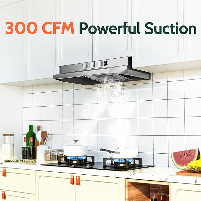 FIREGAS 24 inch Range Hood Under Cabinet, 300CFM Ducted/Ductless Convertible Kithen Hood in Stainless Steel with 2 watt LED Light and Filter, 2 fan speeds, hassle-free installation