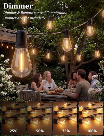 S14 Outdoor String Lights 30FT, Waterproof Patio Lights with 11 Shatterproof LED Bulbs (1 Spare), UL Certified Commercial Grade Black Wire Hanging Lights for Outdoor, Indoor, Backyard, Porch
