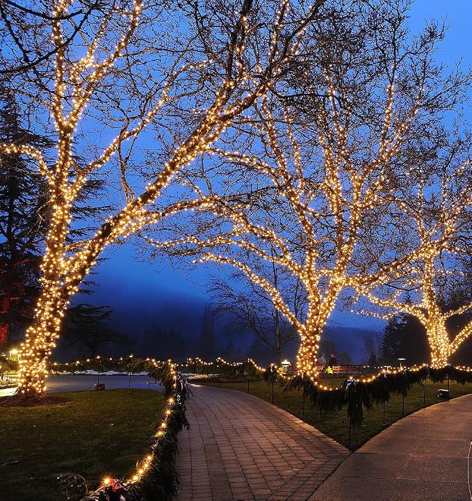 Novelty Lights 50ft Warm White Christmas String Lights, Brown Wire | UL Listed IP55 Commercial Grade Xmas Lights for Outdoor & Indoor, 100 LED, 6" Spacing, Dimmable, Connectable, Flicker Free