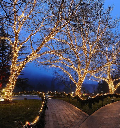 Novelty Lights 50ft Warm White Christmas String Lights, Brown Wire | UL Listed IP55 Commercial Grade Xmas Lights for Outdoor & Indoor, 100 LED, 6" Spacing, Dimmable, Connectable, Flicker Free