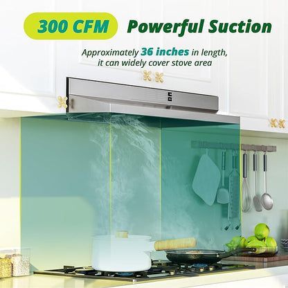 FIREGAS Range Hood 36 inch Under Cabinet, Ducted/Ductless Convertible Kitchen Hood, Stainless Steel Stove Vent Hood with LED Light, 2 Speed Exhaust Fan, Silver
