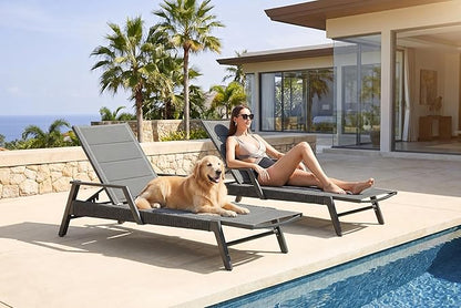 PURPLE LEAF Outdoor Chaise Lounge 2 Pieces Patio Recliner Sunbathing Tanning Chair for Poolside Balcony with Armrests Backyard Moon Basalt