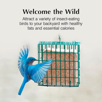 C&S Insect Suet Treat, Suet Cakes for Wild Birds Including Woodpeckers, Wrens, Chickadees, Nuthatches and Robins, Pack of 8