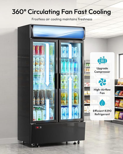 21 Cu.Ft Commercial Display Refrigerator with Double Glass Doors | LED Lightbox, 8 Adjustable Shelves, 32-50°F Digital Control, R290 Air Cooling, ETL Certified, Retail Store Use
