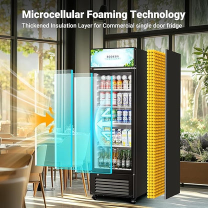 BODEGACOOLER Beverage Refrigerator and Cooler, 10.0 Cu.Ft. Commercial Refrigerator For Home & Kitchen, Office and Garage, Display Refrigerator with Adjustable Shelves and LED Light For Beer, Soda.