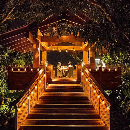Mlambert 200Ft(2x100Ft) LED Outdoor String Lights Waterproof Dimmable G40 Globe Patio Lights with 100+5 Bulbs for Balcony Gazebo Pergola-Black Cord