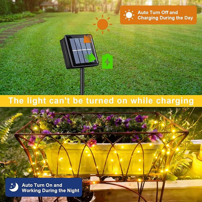 QITONG Warm White Solar Fairy Lights, 2 Pack Each 66ft 200 LED String Lights Outdoor, Silver Wire Solar Christmas Mini Lights