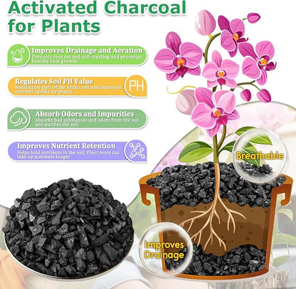 Legigo 6QT All Natural Horticultural Charcoal- Activated Hardwood Plant Charcoal for Soil Amendment, Conditioning Bonsai Soil, Succulent Soil, Terrarium Supplies, Indoor Plant Potting Soil