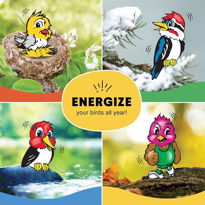 C&S Apple Suet Treat, Wild Bird Food for Fruit-Loving Bluebirds, Thrashers, Tanagers, Wrens and Robins, 11.75 Ounces, Pack of 8