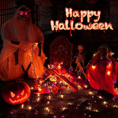 Orange & Purple Halloween Lights, 25ft 100 Count Incandescent String Light | UL Certified Connectable Mini Bulbs String Lights for Outdoor, Indoor, Garden, Porch, Party, Home, Halloween Decor