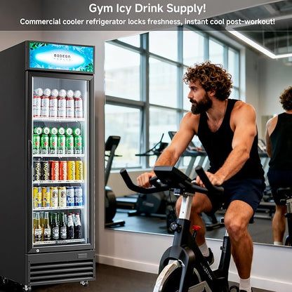 BODEGA COOLER 9 Cu. Ft Commercial Merchandiser Refrigerator with Glass Door & LED Light | Energy-Saving Beverage Display refrigerator, 32°F-50°F Temp, 4 Adjustable Shelves, Lock for Office/Bar/Kitchen