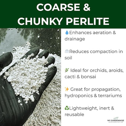 GARDENWISE Perlite for Plants, Coarse and Chunky Horticultural Perlite, Organic Perlite for Gardening Indoor & Outdoor, Perlite Bulk Bag, Made in USA (3 quarts)
