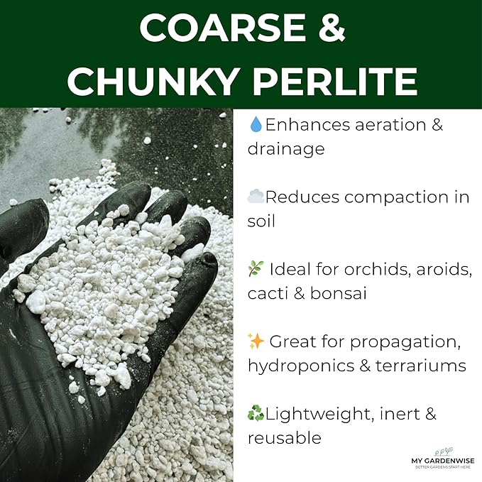 GARDENWISE Perlite for Plants, Coarse and Chunky Horticultural Perlite, Organic Perlite for Gardening Indoor & Outdoor, Perlite Bulk Bag, Made in USA (5 quarts)