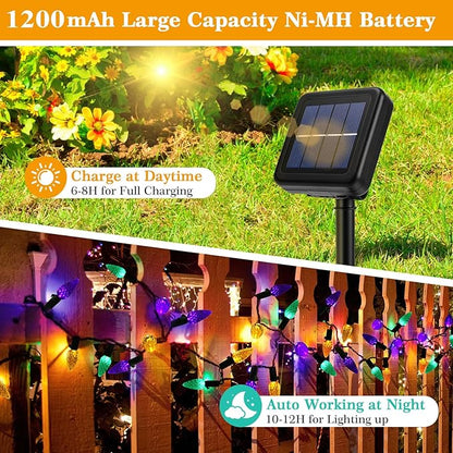 ReyeeInc Solar Mardi Gras Lights, Solar Powered Outdoor Waterproof String Lights with 39FT 100 Count C6 Strawberry Lights and 8 Modes for Outside Mardi Gras Tree Carnival Porch Fence Party Decors