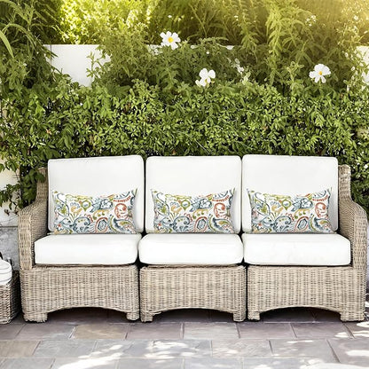 LVTXIII Outdoor/Indoor Lumbar Pillows, Decorative Patio Lumbar Cushions, Fluffy Water Repellent Garden Cushions for Home Patio Coach Sofa Use, 12×20 Inch, Pack of 2, Paisley Botanical