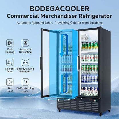 BODEGACOOLER Commercial Merchandiser Refrigerator, 27.02 Cu.Ft Double Glass Door Beverage Cooler, Upright Display Refrigerator with Soft LED Light, Adjustable Shelves, 4 Heavy-Duty Casters, Black