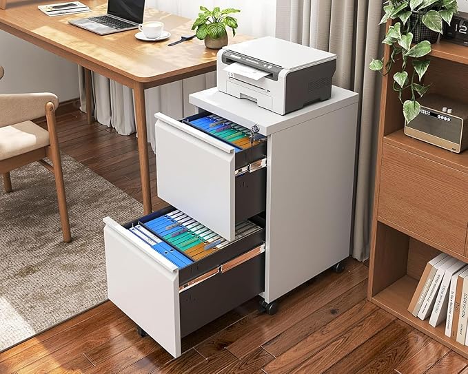 Approgreent 2 Drawer Metal File Cabinet, Fully Assembled Locking Filing Cabinet with Anti-Tipping Wheels, Quiet Slide, Heavy-Duty Steel Construction, Fits A4 Letter Legal for Home Office, Matte White