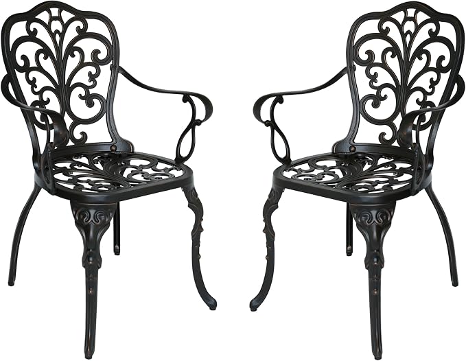 Christopher Knight Home Buddy Outdoor Cast Aluminum Dining Chair (Set of 2), Shiny Copper