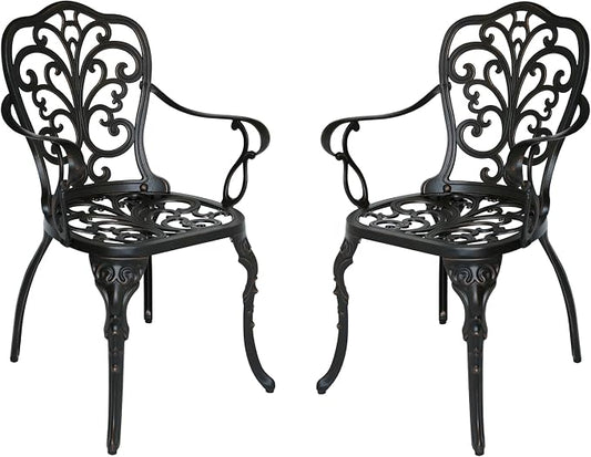 Christopher Knight Home Buddy Outdoor Cast Aluminum Dining Chair (Set of 2), Shiny Copper