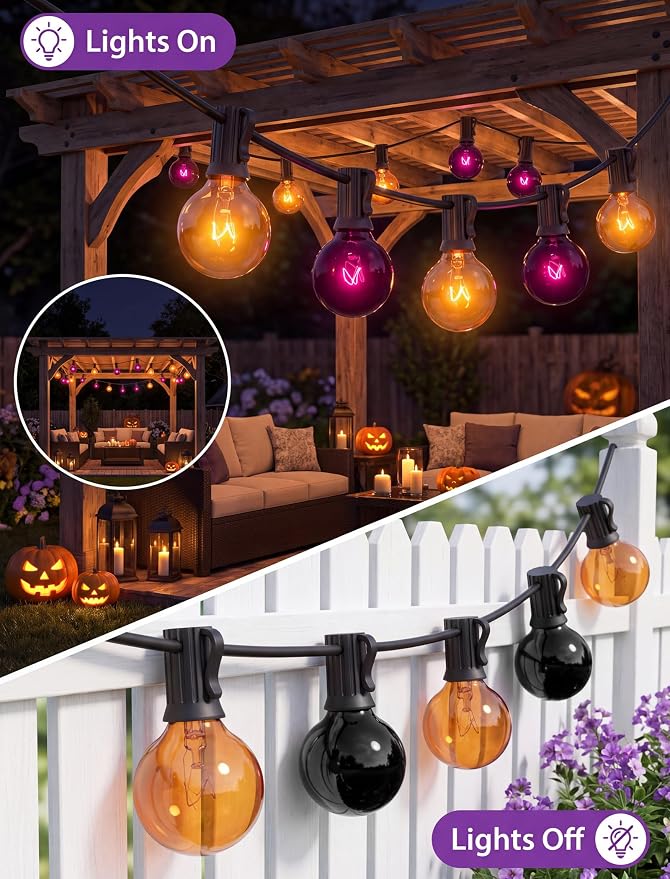 SUNSGNE 25FT G40 Halloween String Lights, Clear Orange Purple Globe Lights | 27 Glass Filament Bulbs(2 Spare), Orange Purple Halloween Glow, Vintage Glass Globe Design, Plug-In Power