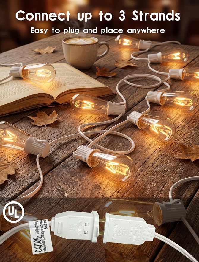 20FT Edison Outdoor String Lights with 22 Clear Edison Bulbs(2 Spare), ST40 Vintage Bulb String Lights for Christmas Hanging Backyard Porch Balcony Party Decoration, E17/C9 Socket Base, White Wire