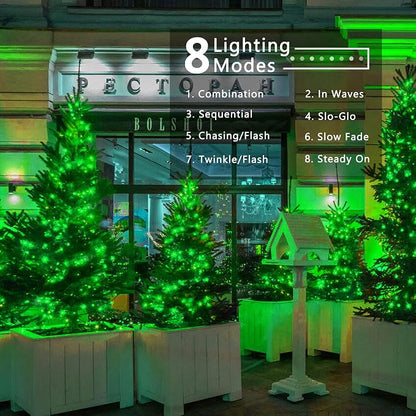Brizled Outdoor Christmas Lights Green, 78.74ft 240 LED Mini Light String | Connectable; 8 Modes; Waterproof; Memory; Timer; Plugin Twinkle Mini Tree Fairy Light for Outside Xmas Patrick's Day Party