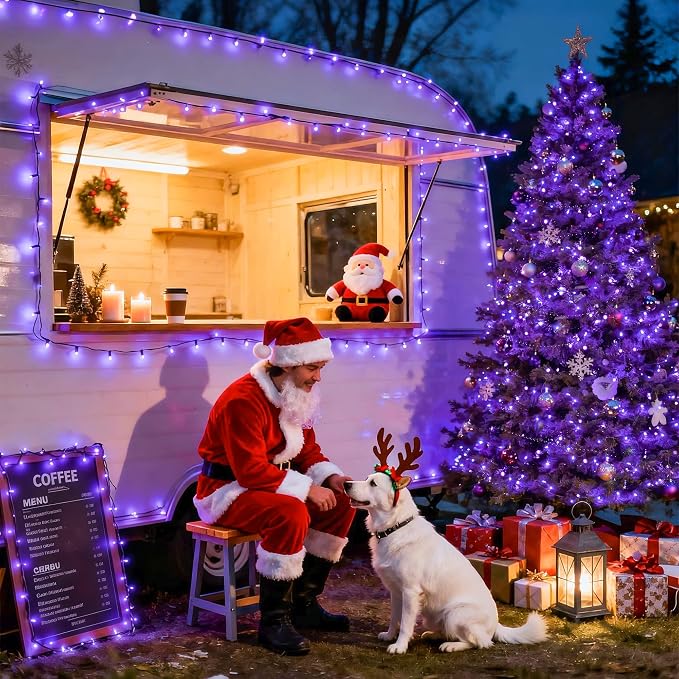 JMEXSUSS 500 LED Purple Halloween Lights, 173ft String Lights Plug in | 8 Modes, Remote Control, Timer, Waterproof Purple Christmas Lights for Indoor Outdoor Party Tree Xmas Halloween Decorations