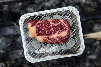 Disposable Charcoal Grill Ideal for Camping and Tailgate Parties -Pack of 2 Small size Portable, Easy To Light, and Convenient charcoal grill Lasts 1.5 hours Grill Anytime, Anywhere