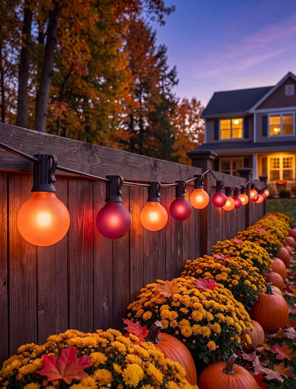 SUNSGNE 25FT G40 Halloween String Lights, Frosted Orange Purple Globe Bulbs | 27 Frosted Glass Bulbs(2 Spare), Orange Purple Halloween Glow, Plug-In Easy Lighting, Indoor & Outdoor Halloween Decor